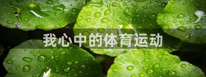 蓝鲸体育官网：我心中的体育运动