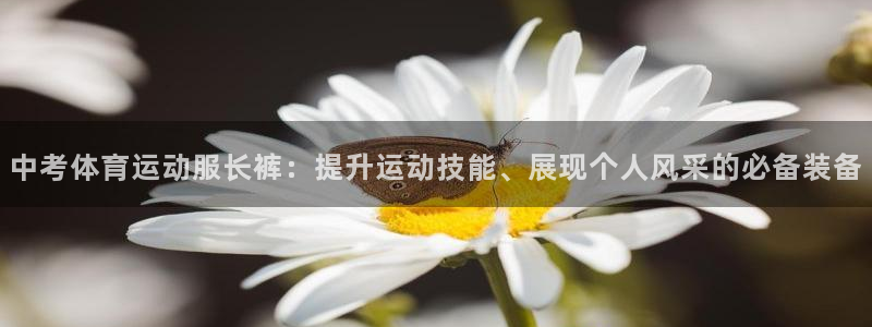 蓝鲸体育怎么下载：中考体育运动服长裤：提升运动技能、展现个人风采的必备装备