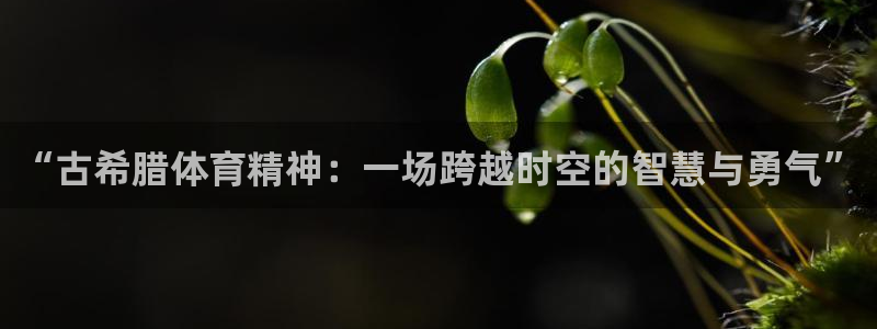 蓝鲸体育软件：“古希腊体育精神：一场跨越时空的智慧与勇气”