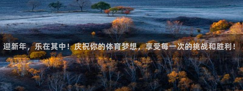 蓝鲸体育培训济南：迎新年，乐在其中！庆祝你的体育梦想，享受每一次的挑战和胜利！