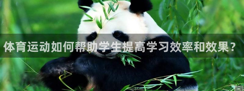 蓝鲸体育看不了比赛：体育运动如何帮助学生提高学习效率和效果？