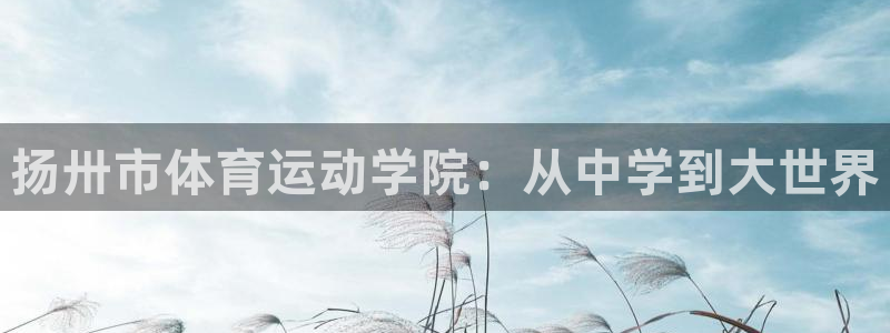 蓝鲸体育俱乐部：扬卅市体育运动学院：从中学到大世界